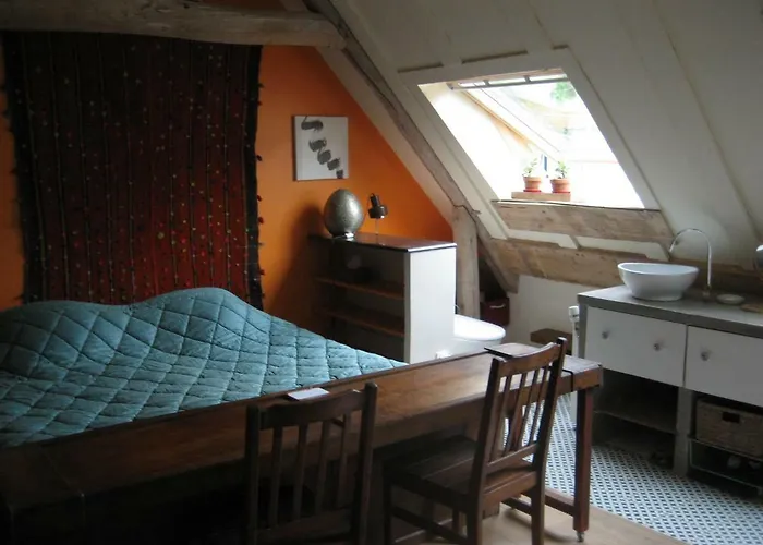 Chambre Du Toucan